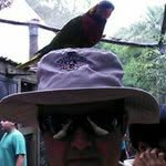 Daniel Bramblett - @danielbramblett - Instagram