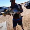 Daniel Bramley - @yowie6.9 - TikTok