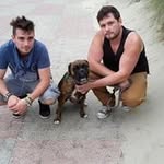Brams Daniël - @daniel.brams - Instagram