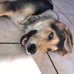 daniel branchini - @danielb8217 - Instagram