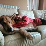 dens_ - @daniel.branchini_ - Instagram
