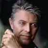danielbrandis4 - @danielbrandis4 - TikTok