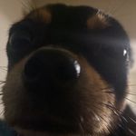 Daniel Brannon - @danielbrannon2023 - Instagram