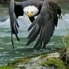 Daniel Brassard - @daniel.brassard - TikTok