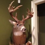 Daniel Braswell - @killer_whale20 - Instagram