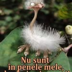 Daniel Bratescu - @danielbratescu - Instagram