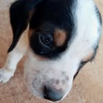 Daniel Bratz - @bratz_daniel - Instagram