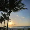daniellebrawner - @daniellebrawner - TikTok