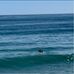 Daniel Brazil - Facebook