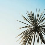 @_danielbreak_ - Instagram
