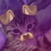Dani - @daniel_breaks_bad - TikTok