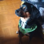 Daniel Break - @danie.lbreak - Instagram