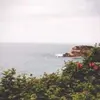 daniele.brear - @daniele.brear - TikTok