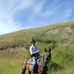 Dan Breau - Facebook