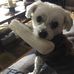 Daniel Breault - Facebook