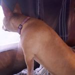Daniel Breaux - @daniel.breaux.520 - Instagram