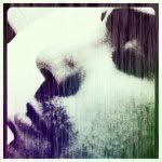 Daniel Brecher - @danielbrecher - Instagram