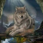Daniel Bredeson - Facebook