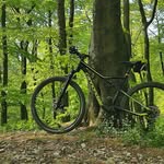 Daniel Bredy - @daniel_bredy_ - Instagram