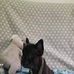 Daniel Prada - Facebook