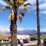 Daniel Breed - @breeddaniel - Instagram