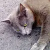 Daniel Breheny - @daniel.breheny - TikTok
