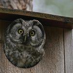 Daniel Brehmer - @brehmer1973 - Instagram