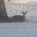 Dan Breitbarth - Facebook