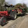 Daniel Breitenbach - @daniel.breitenbac4 - TikTok