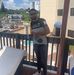 Daniel Breton - Facebook