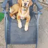 Daniel Breton - @daniel.breton16 - TikTok