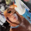 Daniel Abrew - @daniel_abrew - TikTok