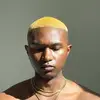 Daniel Brickhouse - @brickhoouseee - TikTok