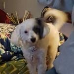 Daniel Brickman - @daniel.brickman - Instagram