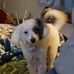 Daniel Brickman - Facebook