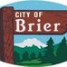 Daniel Allen for Brier City Council - Facebook
