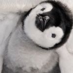 DanielB - @daniel_briers - Instagram