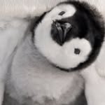DanielB - @daniel_briers - Instagram