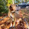 Danielle Brigham - @danielle.brigham - TikTok