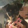 Daniela Sbriglia - @danielasbriglia - TikTok