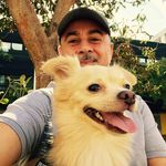 Daniel Brin - @brin_daniel - Instagram