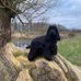 Daniel Brinker - Facebook