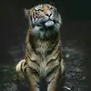 danielbarkworth - @danielbarkworth - TikTok