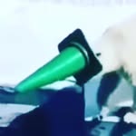 Daniel Brinton - @brintondaniel - Instagram