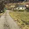 FloareaVieti - @danielbrinza - TikTok