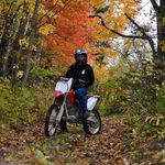 Daniel Brisson - @brisson6155 - Instagram