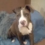 Daniel bristow - @bristow_1233 - Instagram