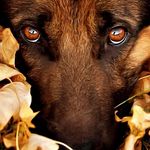 Daniel Britto - @britto1714 - Instagram