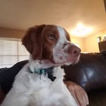 Daniel Broadhead - @broad770 - Instagram