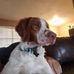 Daniel Broadhead - Facebook
